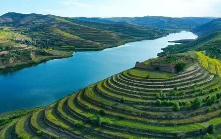 重點(diǎn)行業(yè)VOCs治理“一企一策”！寧夏空氣質(zhì)量持續(xù)改善行動(dòng)實(shí)施方案公開征求意見