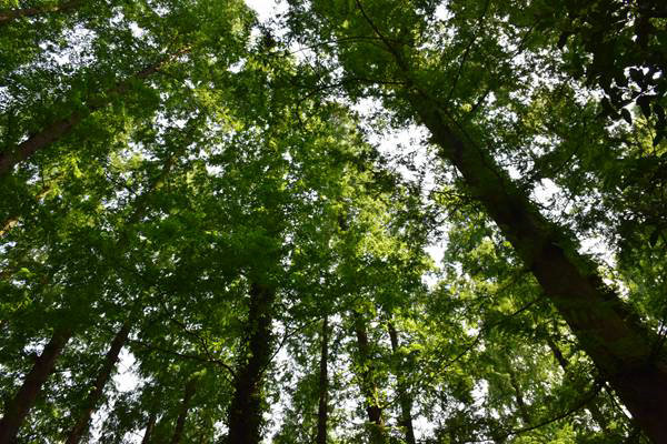 廣州市珠海、天河區(qū)全力推進秋冬季大氣污染防治攻堅工作