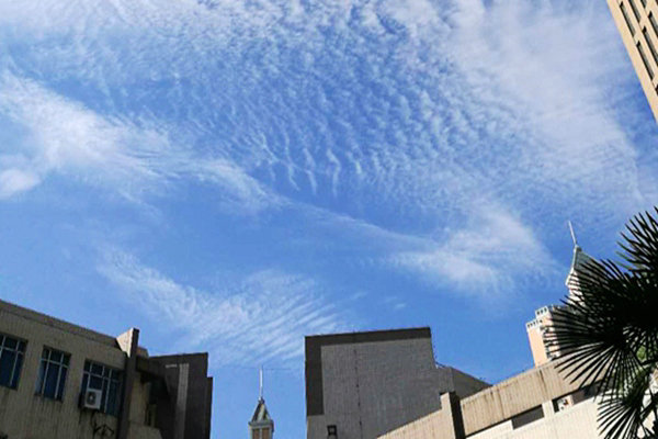 微塑料污染與氣候變暖風(fēng)險(xiǎn)疊加，升級(jí)全球環(huán)境風(fēng)險(xiǎn)