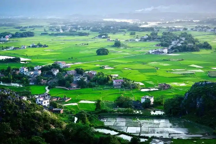 政府工作報(bào)告出爐，2025年生態(tài)環(huán)保工作這么干！