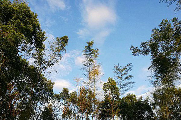 包河區(qū)生態(tài)環(huán)境分局：藍天不是等出來的，是干出來的