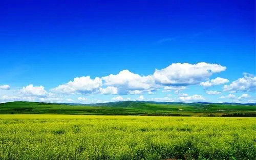 深港強(qiáng)化生態(tài)環(huán)境領(lǐng)域規(guī)則銜接與機(jī)制對(duì)接，攜手共赴美麗中國(guó)先行區(qū)之約 