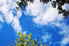 迎“藍(lán)”而上！直擊攀枝花、德陽、內(nèi)江大氣攻堅現(xiàn)場