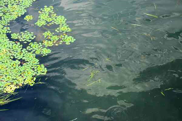 常州市召開全市污染防治攻堅(jiān)推進(jìn)會 