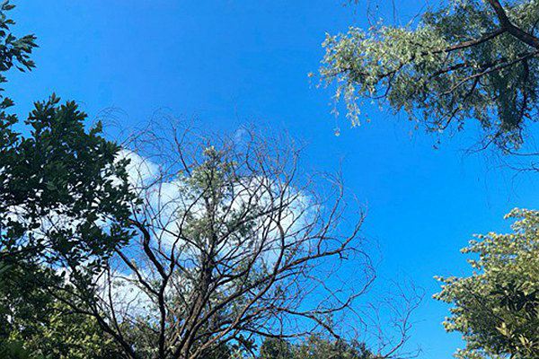 烏魯木齊道路積塵治理有妙招：動態(tài)監(jiān)測 聯(lián)合督導(dǎo)，助力空氣質(zhì)量改善