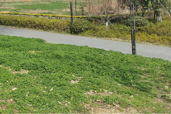 筑牢質(zhì)量“安全線”！珠海市生態(tài)環(huán)境局等四部門加強(qiáng)建設(shè)用地土壤環(huán)境聯(lián)動監(jiān)管服務(wù)