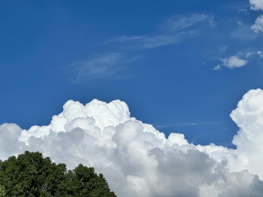 廣州藍，8微克閃耀全運！從化綠，6微克奠定基石！