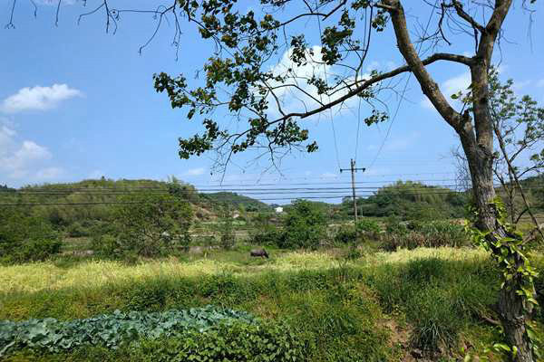 京津冀及周邊地區(qū)出現(xiàn)中至重度污染，多地啟動預警積極應對