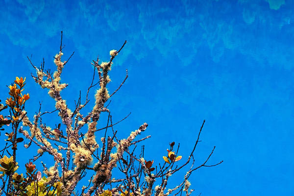 生態(tài)環(huán)境部部長黃潤秋出席COP30“中國角”系列邊會活動并會見外方高級代表