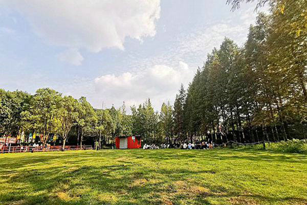 陜西：綠色轉(zhuǎn)型的“加減乘除”法