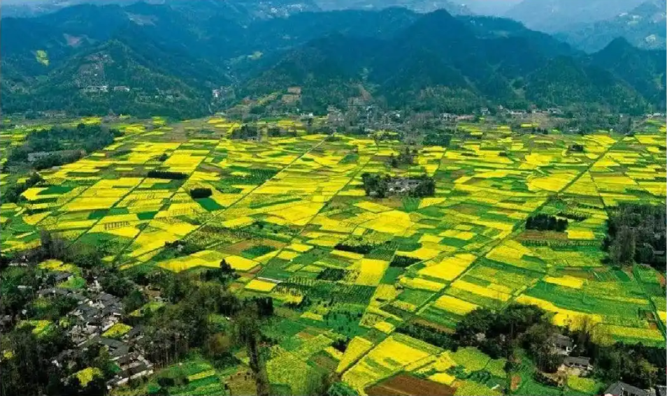 讓美麗四川顏值更高、實力更強！示范創(chuàng)建將從三方面發(fā)力