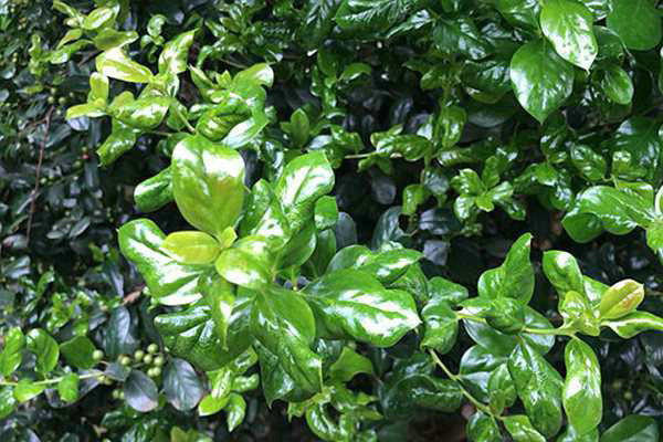 宣城市“十四五”治污攻堅重大工程建設成效亮眼